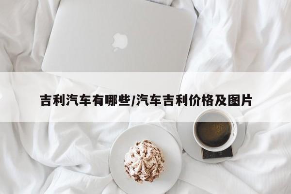 吉利汽车有哪些/汽车吉利价格及图片