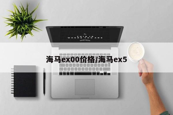 海马ex00价格/海马ex5
