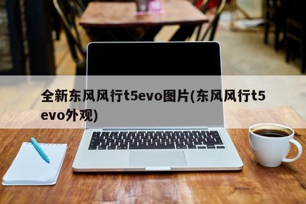 全新东风风行t5evo图片(东风风行t5evo外观)