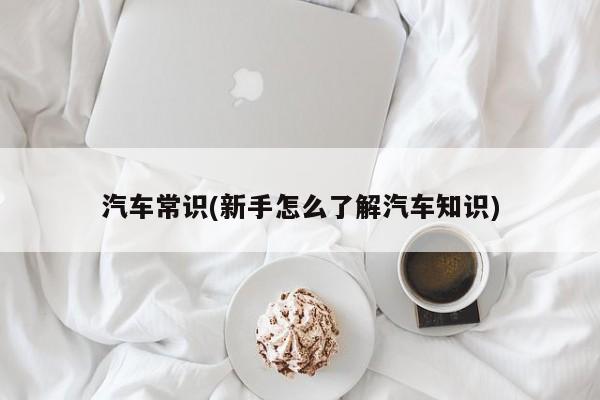 汽车常识(新手怎么了解汽车知识)