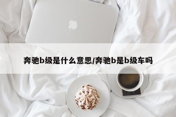 奔驰b级是什么意思/奔驰b是b级车吗