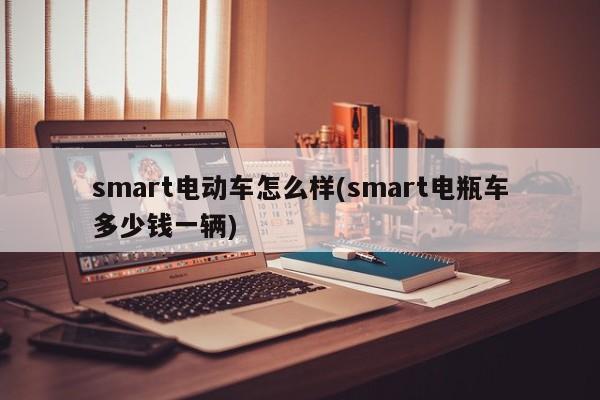 smart电动车怎么样(smart电瓶车多少钱一辆)