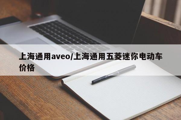 上海通用aveo/上海通用五菱迷你电动车价格